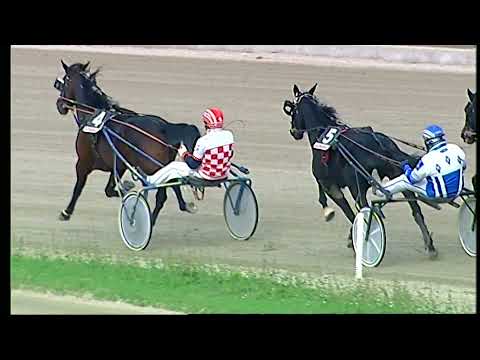 Napoli Trotto 12/11/2021 - 2ª corsa