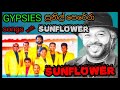 Gipsies Sunflower Sunil