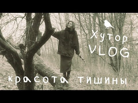 фото деревня янули, опсовский сельсовет, браславский район, витебская область, 2 комн., 100 м² 0