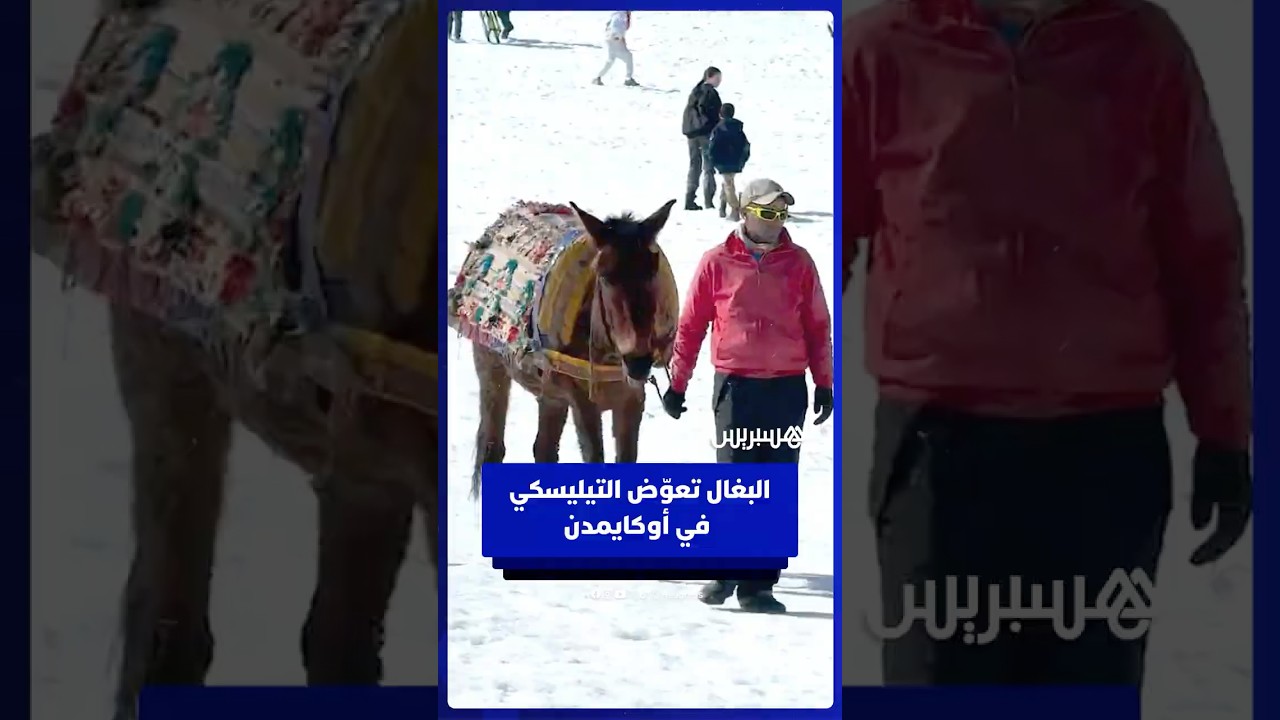 البغال تعوّض توقف التيليسكي في محطة أوكايمدن وسط مطالب بإعادة تشغيله thumbnail