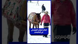 البغال تعوّض توقف التيليسكي في محطة أوكايمدن وسط مطالب بإعادة تشغيله thumbnail