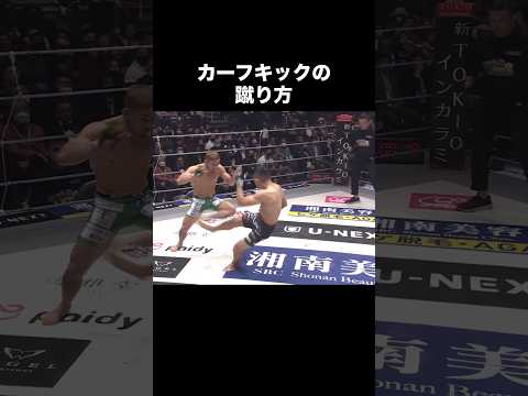 カーフキックの蹴り方 #堀口恭司 #カーフキック #rizin #総合格闘技