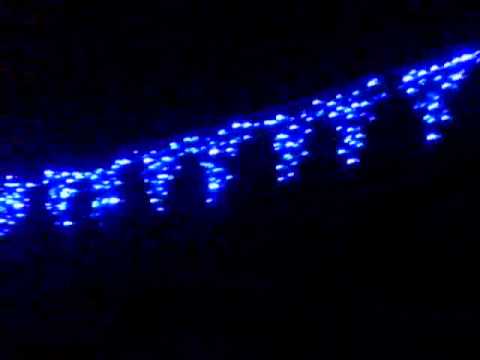 CHISINDIA CRACIUNUL 2011 part II