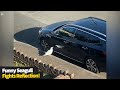 Funny Seagull Picks Fight With Its Own Reflection On A Car
