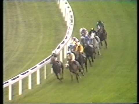 1986 Prince Of Wales's Stakes