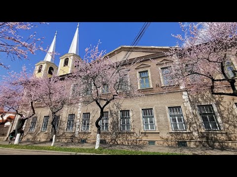 O plimbare prin Hunedoara înflorită și însorită