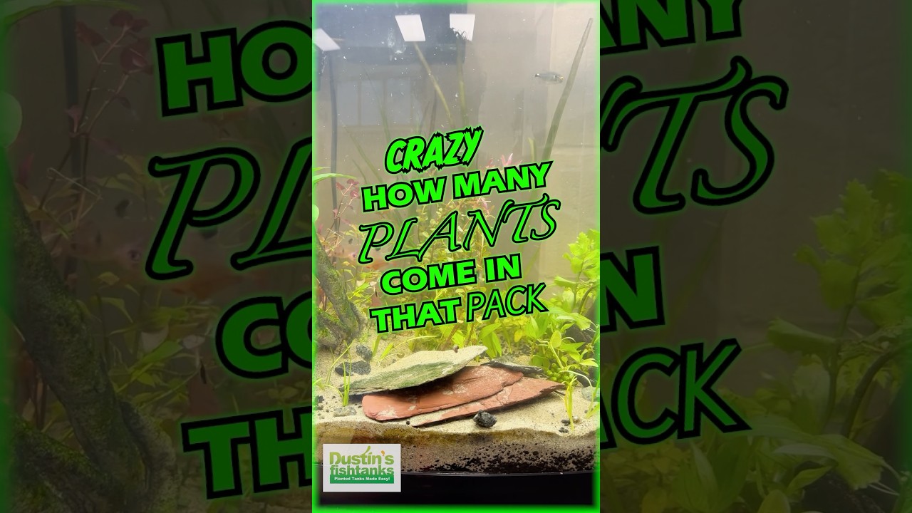 Video thumbnail for April 9, 2026