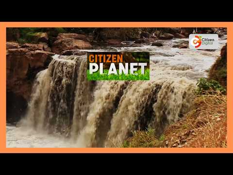 | Citizen Planet | Rural communities help preserve Nairobi's watersheds |