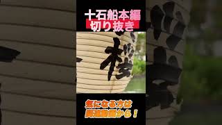 #京都#十石船VLOG十石船本編切り抜き