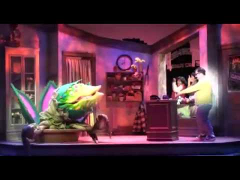 download lagu mp3 mp4 Feed Me Musical, download lagu Feed Me Musical gratis, unduh video klip Feed Me Musical