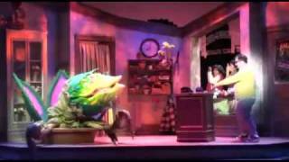 Feed me - Little Shop of Horrors