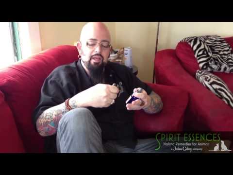 How to Choose Spirit Essence Remedies taught by Jackson Galaxy