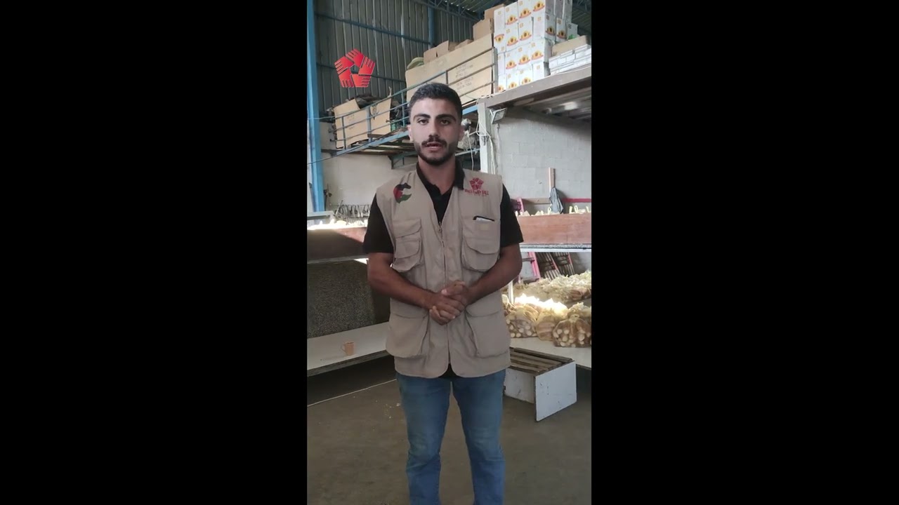 Bread distribution initiative for displaced people in central Gaza | walls must fall