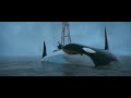 Happy Feet Killer Whales