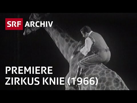 Premiere Circus Knie (1966) | Zirkus in der Schweiz | SRF Archiv