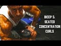 Killin Biceps With Seated Concentration Curls