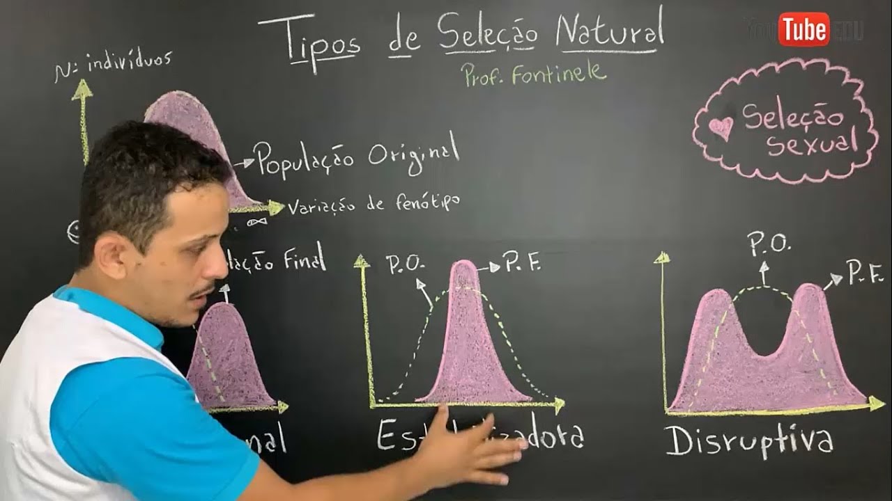 Tipos de seleção natural: Direcional, Estabilizadora, Disruptiva e Sexual - Evolução