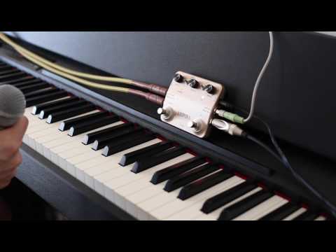 Rowin Looper 3 - Looper pedal - Stereo Use - Piano & vocals