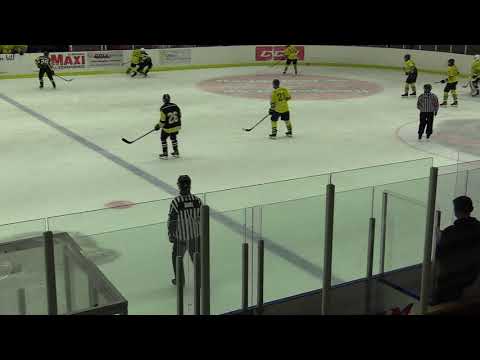 FLEMINGSBERG VS: WINGS HC J18 Träningsmatch 23/8-20