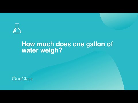 2nd YouTube video about how much does a 24 pack of water weigh