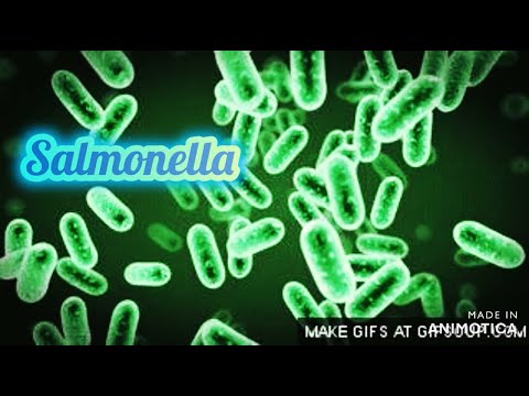 Método de referencia para el aislamiento de Salmonella spp, Apéndice A Normativo, NOM-210-SSA1-2014