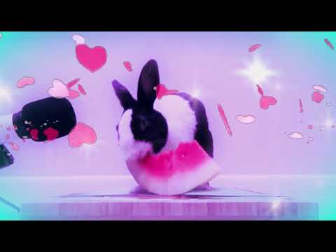 Morena Cachetona - Sayian Jimmy x Josepe [speed up / nightcore]