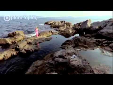 Tedi Aleksandrova - Moi dokrai (OFFICIAL VIDEO)