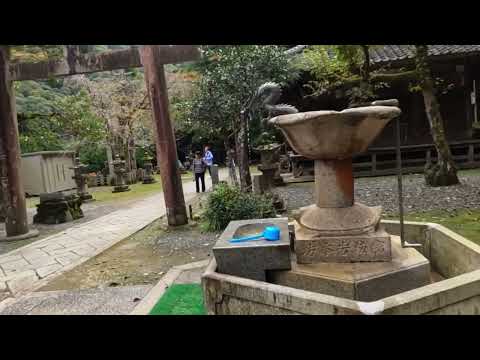JAPAN WALK VLOG[walking to the most beautiful minoo waterfall in osaka japan]