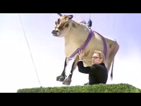 Mark Lamar's Challenge | Shooting Stars | BBC Studios