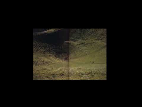 Natalie Green - Orange