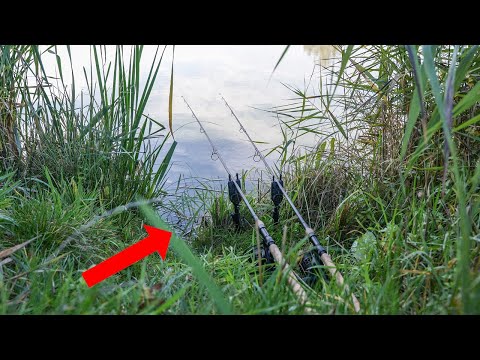 Karpfen Angeln im Herbst I Tipps für die kalten Tage