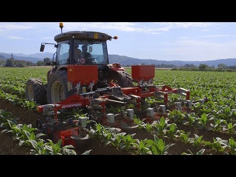 Mašina za ogrtanje duvana Spapperi SC 400