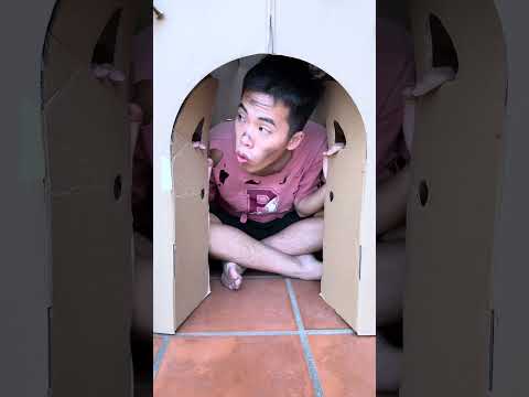 LNS - Có tiếng tắt kè trong lều || Dance Animal Song... in tents #shorts