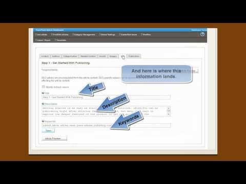 Search Engine Optimization (SEO)