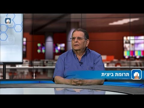 תרומת ביצית: המילון הרפואי