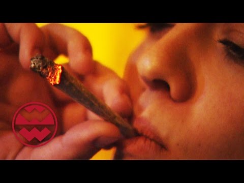 Trinken vs. Kiffen - Welt der Wunder