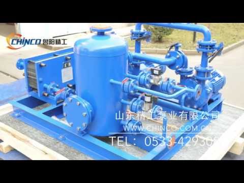 2BV liquid ring vacuum pump