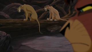 Kovu ~ Surfacing ~ Trust Company