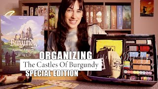 Organizing The Castles Of Burgundy Special Edition! | How to fit all the acrylic tiles in the box!