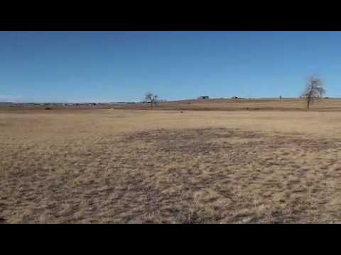 Kya's practice run 12-27-08