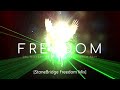 DEL BIANCHI, SoulRedeep Feat  Morris Revy  - FREEDOM [StoneBridge Freedom Extended Mix]