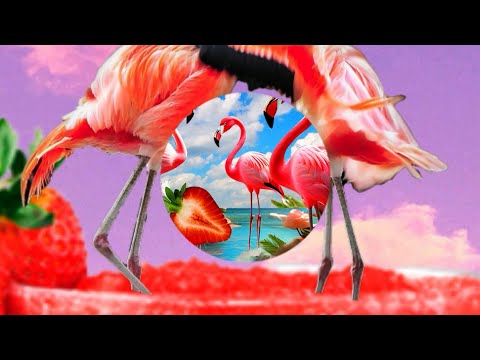 DAIKIRI CON FRESA (Visualizer) - legallyrxx, Abrildefresa