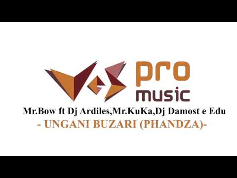 Mr. Bow - Ungani Buzari Phandza (ft. DJ Ardiles, Mr Kuca, DJ Damost & Edu)