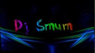 Cobra Starship & Sabi - You Make Me Feel (Dj Smum Remix)