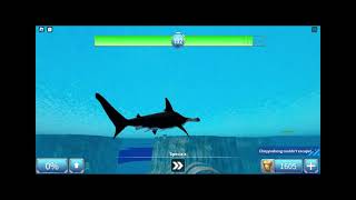 killing bull shark and hammerhead shark gameplay in sharkbite 2 roblox