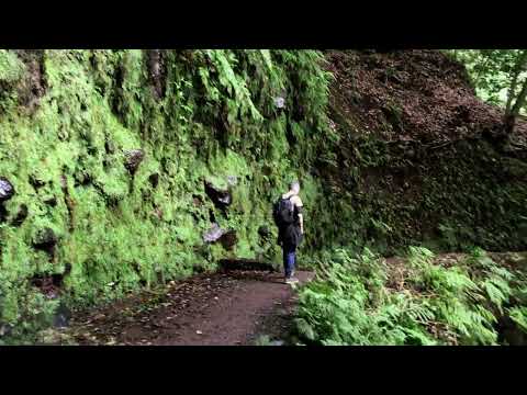 Levada da Ribeira da Janela
