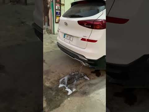 HYUNDAI TUCSON CATALYTIC CONVERTER CLEANING 2022