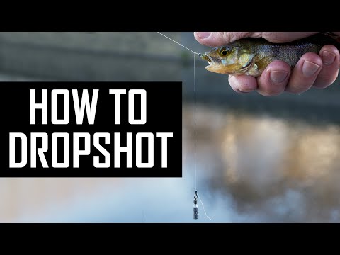 How to DROPSHOT for PERCH? Advanced dropshoting techniques in detail!