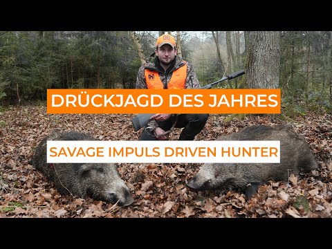 Savage Impulse Driven Hunter - Die neue Waffe von Savage Arms im Test auf der Drückjagd des Jahres