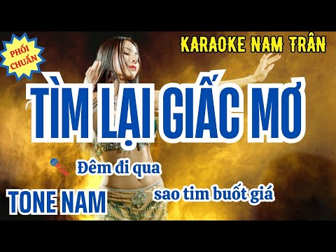 Karaoke Tìm Lại Giấc Mơ Tone Nam | Nam Trân